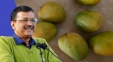 CM Kejriwal Eating Mangoes To Raise Sugar Levels: ED